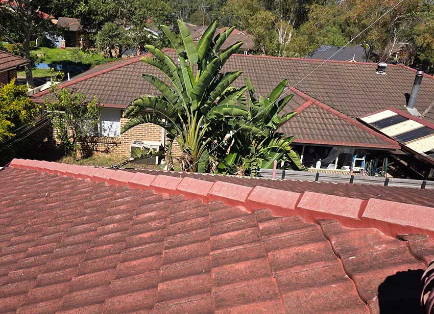 Roof Bedding & Pointing Sydney