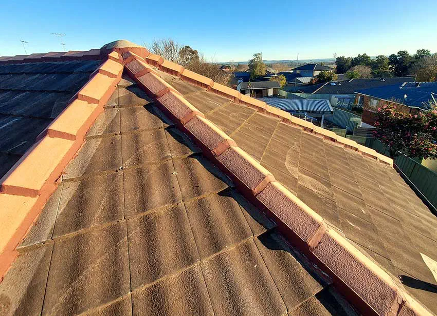 Roof Bedding & Pointing
