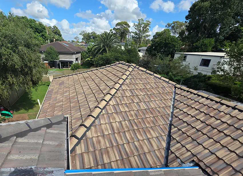 Roof Cleaning Sydney
