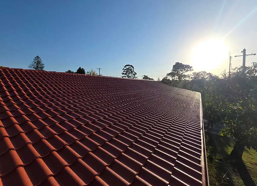 Roof Painting